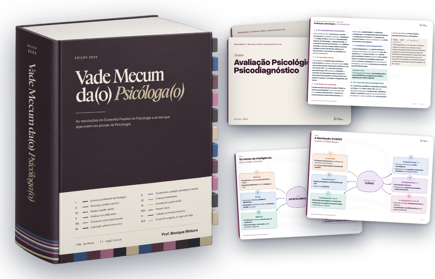 Combo Resumos + Mapas + Vade Mecum